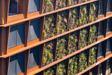 Vertical garden on modern residential facade with orange metal frames in Nordhavn, Copenhagen. Symmetry, geometry and green city architecture.