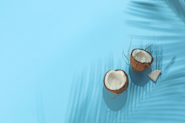 Fototapeta premium Fresh coconut and shadow cast by tropical palm on light blue background, top view. Space for text