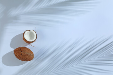 Fresh coconuts and shadow cast by tropical palm on light grey background, top view. Space for text