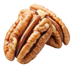 Pecan nut isolated, no background