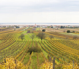 Jois, Neusiedler See, Burgenland, Austria, &Ouml;sterreich