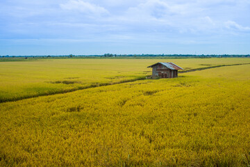 The barn is located in the middle of the field.