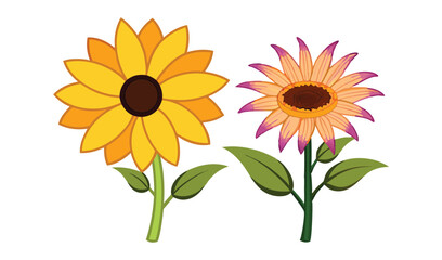 Fototapeta premium --two-summer-flowers-on-a-white-background--sunflo (1).eps
