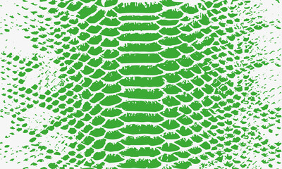Texture pattern green white snake crocodile reptile seamless repeat. Amazing hand drawn vector illustration. Print