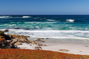 Coastal landscape in California