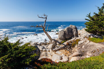 Coastal landscape in California