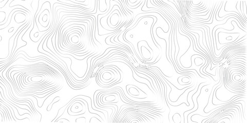 Contemporary Abstract Topographic Map with Geometric Lines and a Clean Modern Grid Layout on a White Background
