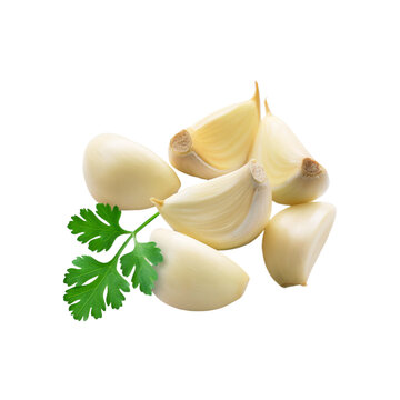 Peeled garlic slice with coriander leaf on transparent background