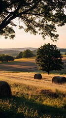 An expansive picturesque rural farm landscape with lush trees and golden hay bales in a serene countryside setting in Virginia USA featuring contemporary cinematic lighting and a tranquil