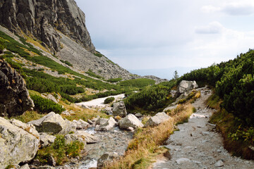 A beautiful scenic trail with rocky outcrops and dense forest on either side. Stunning mountain scenery. Nature, landscape concept.