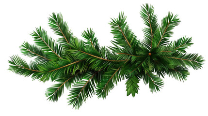 Christmas Garland: A vibrant and lifelike garland of fir, its verdant needles exuding a refreshing aroma, symbolizing the festive spirit and embodying the charm of the holiday season.