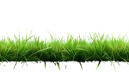 Fresh Green Grass: A vibrant expanse of lush green grass flourishing, evoking feelings of freshness and vitality