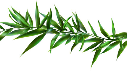 Obraz premium Botanical Beauty: A close-up captures the vibrant green of a delicate bamboo branch. Perfect for evoking tranquility and natural beauty.