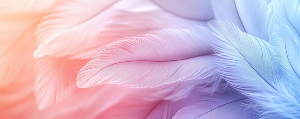 Abstract feathery textures blending into a dreamy pastel gradient, soft-focus aesthetic