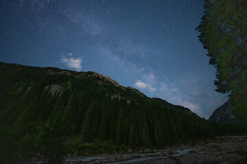 starry sky in the forest in the mountains