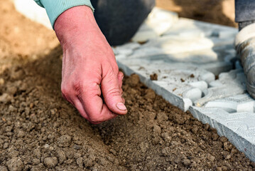 Gardener's hand with seeds, planting radish seeds in soil.