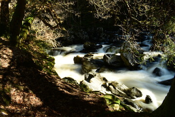 waterfall in the woods