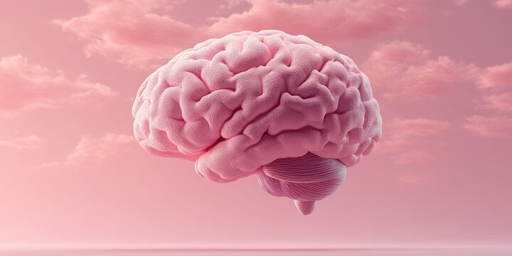 Floating human brain in pastel colors on light blue background