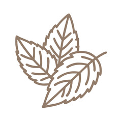 Mint Leaves Line Art Illustration - Herbal Design