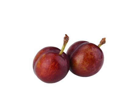 Two large red plums isolated on transparen png.