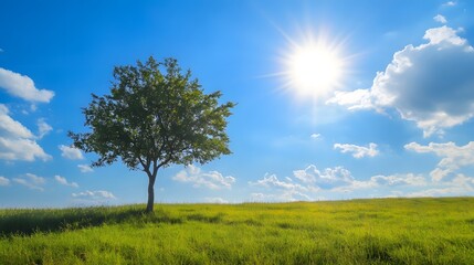 Fototapeta premium A serene idyllic landscape featuring a lone tree standing tall in a verdant meadow with a bright cloudless sky and warm sunlight overhead creating a tranquil and rejuvenating atmosphere