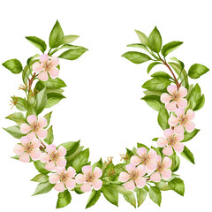 Naklejka premium Round frame, wreath with delicate flowers and apple tree leaves on a white background. Delicate and elegant. Perfect for cards, posters, gift wrapping and spring-themed designs.
