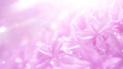 Fototapeta premium Soft pink flowers with dreamy background create serene atmosphere