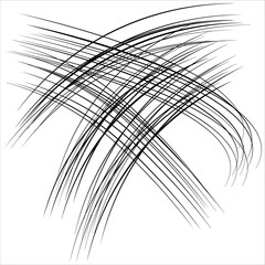 Obraz premium abstract black wavy lines white background
