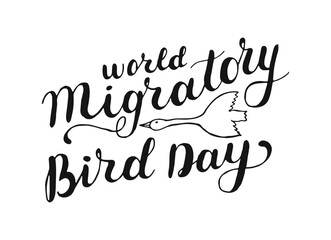 Hand drawn lettering and modern calligraphy of world migratory bird day. For posters, cards, banners, promotion. Handwritten black words isolated on white background