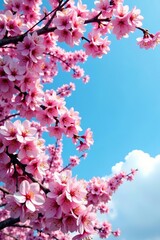 Obraz premium Beautiful cherry blossoms on trees under a clear blue sky, trees, blue sky, spring
