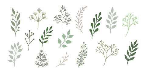 Collection of different green leaves isolated AI generated