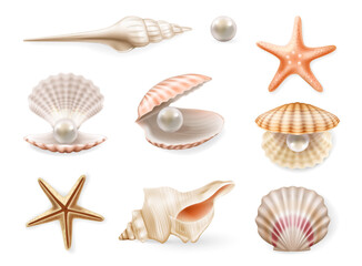 Summer seashells, beach sea shells. Vector in realistic style, collection assorted aquatic objects. Starfish and mollusk with pearls. Aquarium or underwater snorkeling view design, scallop