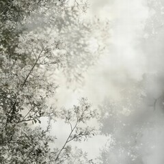 Misty Forest Path: Sunlight filters through the branches of trees, creating a mystical atmosphere in a forest shrouded in mist. 