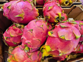Picture of group of Pitaya or pitahaya or buah naga. Red Dragon tropical fruit. Close up of dragon...