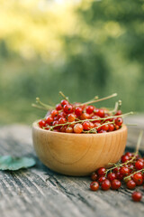 Fresh red currants in a wooden bowl on rustic wooden table. Natural summer harvest scene with vibrant red berries and green blurred background, perfect for healthy eating or gardening themes