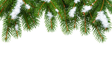 Close-Up of Fresh Evergreen Pine Branches with Snowflakes on a Black Background, Perfect for Winter Holidays and Seasonal Celebrations