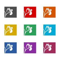 Letter S rose logo icon isolated on white background. Set icons colorful