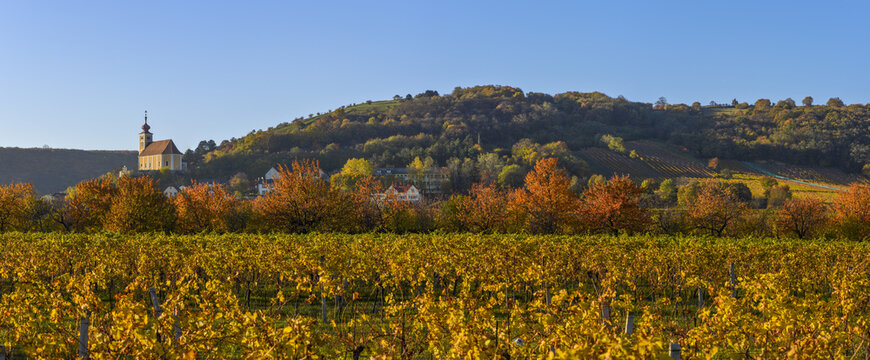 Weinbaugebiet, Donnerskirchen, Leithagebirge, Burgenland, &Ouml;ster