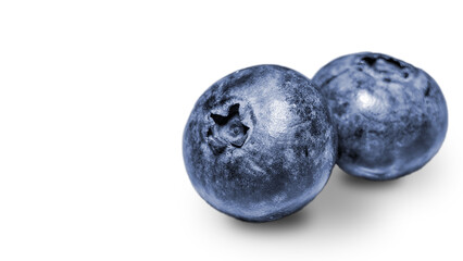 Blueberries and shadow. Fresh colorful fruits with copy space and Transparent background.