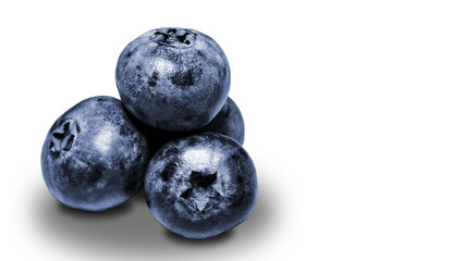 Blueberries and shadow. Fresh colorful fruits with copy space and Transparent background.