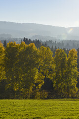Vorau-Puchegg, Steiermark, Österreich, 2015