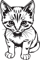 Cute kitten. Hand drawn vector illustration