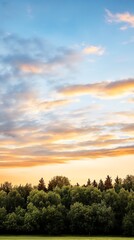 Obraz premium Expansive field underneath a clear blue sky with a plane gracefully flying above the horizon