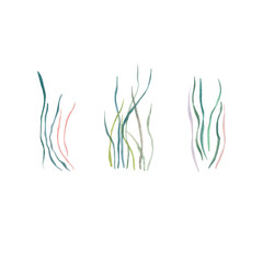 Watercolor illustration of seaweed and corals