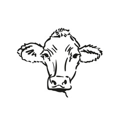 Hand-drawn vector illustration of a cow's head, created with bold black strokes in a minimalistic sketch style. Isolated on a white background. Ideal for farm, agriculture, and livestock concepts