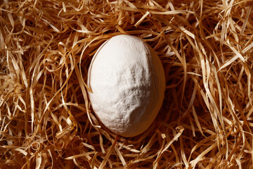 Wrinkled, deformed egg in a straw. An ugly abnormal crooked egg as a result of a lack of trace...