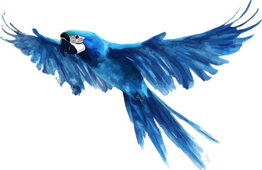 Obraz premium Vector illustration of flying parrot watercolor on white background