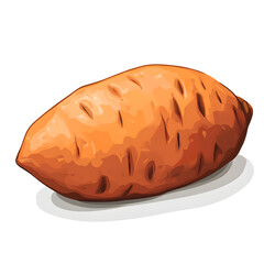 Fresh Sweet Potato