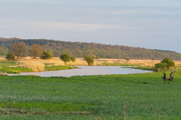 Frühjahr im Odertal an der Teerofenbrücke