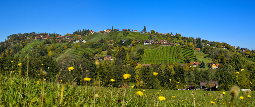Schilcher Weinstrasse, Sankt Stefan ob Stainz, Steiermark, &Ouml;ste